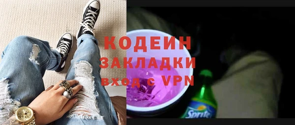 хмурый Покачи