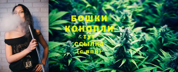 хмурый Покачи