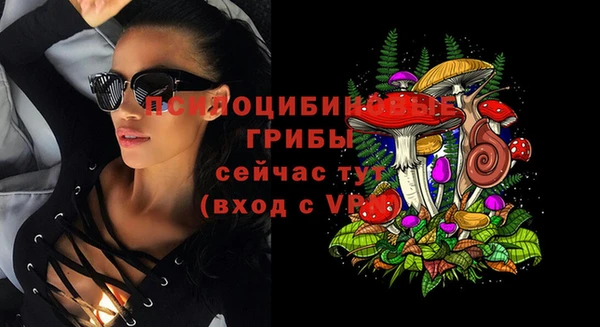 соль ск Покровск