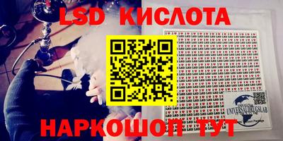 молекула духа Владимир