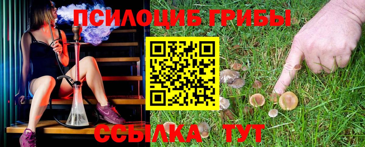 Севастополь  Псилоцибиновые грибы MAGIC MUSHROOMS  Вход с VPN 