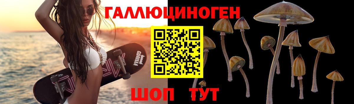 Псилоцибиновые грибы MAGIC MUSHROOMS Севастополь